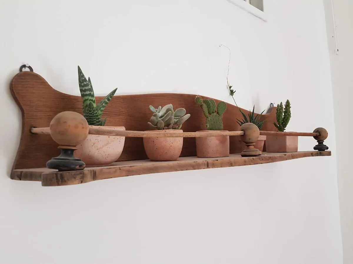 Vesuvio Apartment Napoli Italia